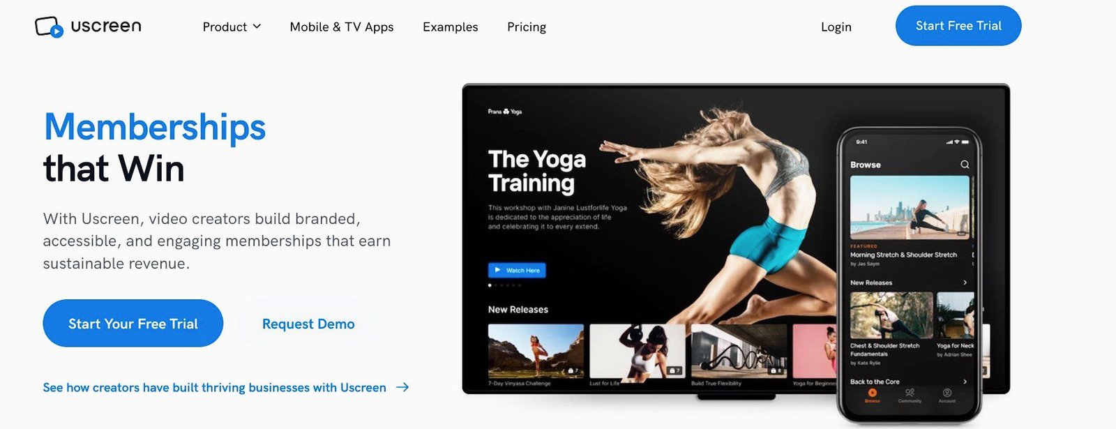 Create a Video-on-demand website through a popular VoD hosting provider like Unscreen.