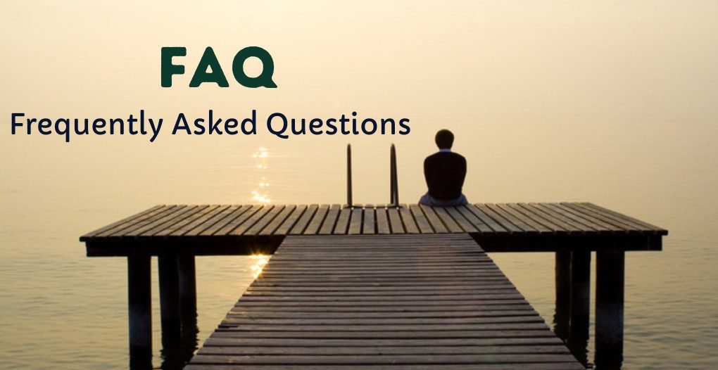 Frequently Asked Questions You should create a Frequently Asked Question page will answers to popular questions about your products or services.