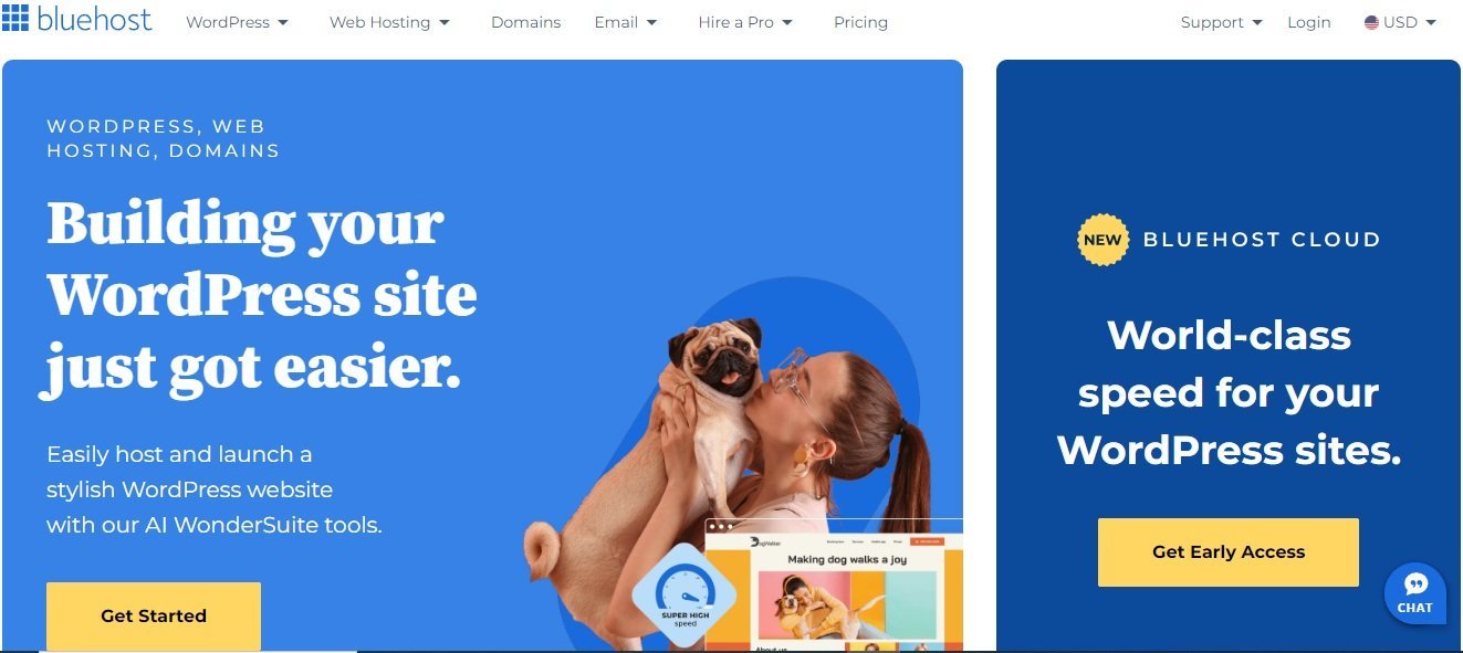 Bluehost is one of the best hosting companies for beginners.