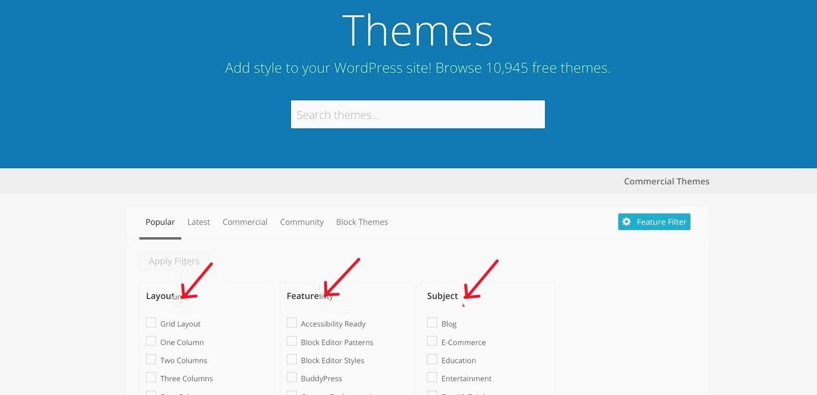 Feature Filters You can use the Feature Filter tab to specify what functionality you want your theme to have.