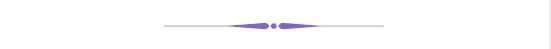 Decorative line separating different  sections on the page.