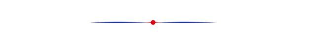 Decorative line on newsletter page.