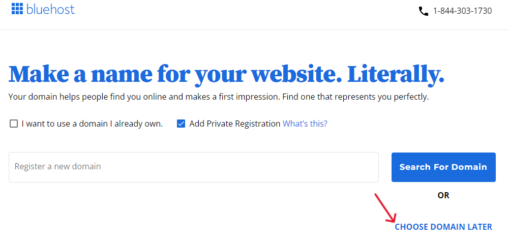 If you haven't found a name you like, choose the option to set up your domain later.