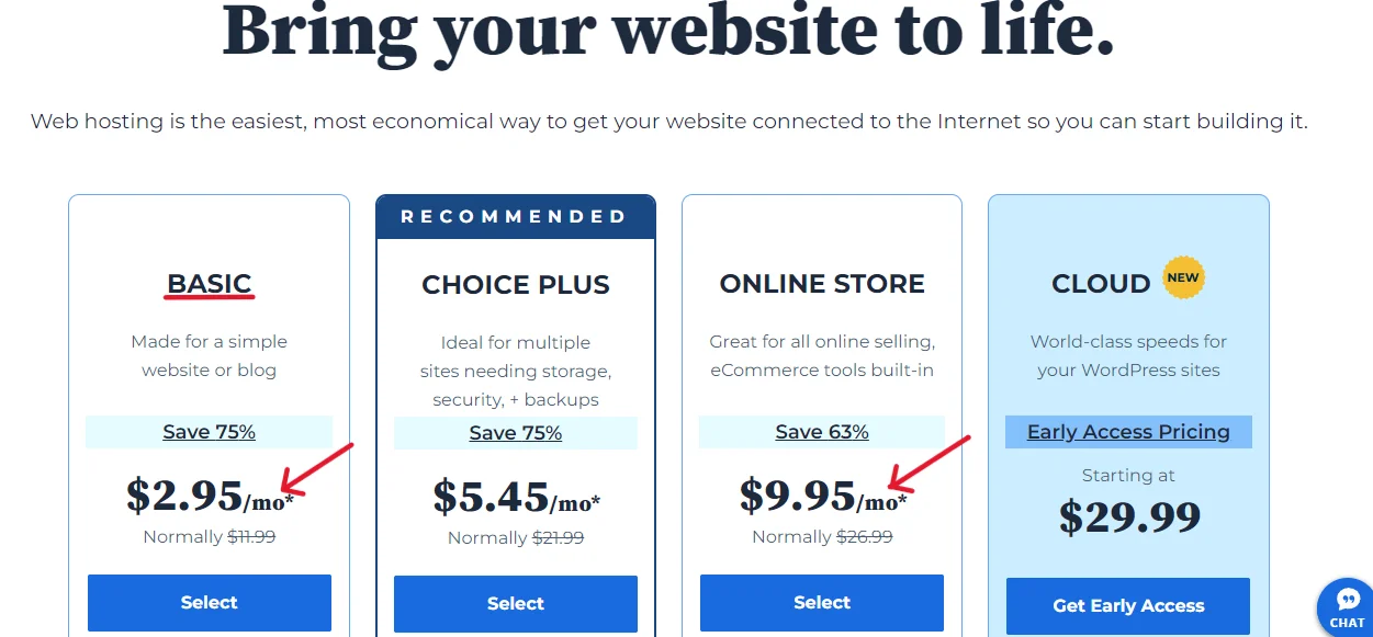 There are two cheap ways to start an eCommerce website on Bluehost - Basic  Shared hosting or Online Store hosting.